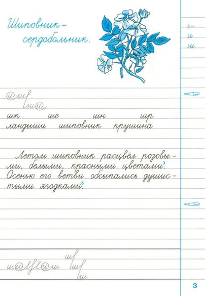 Фотография книги "Горецкий, Игнатьева: Чистописание. 3 класс. Рабочая тетрадь №1. ФГОС"