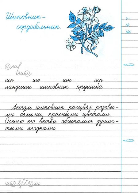 Фотография книги "Горецкий, Игнатьева: Чистописание. 3 класс. Рабочая тетрадь № 1. ФГОС"