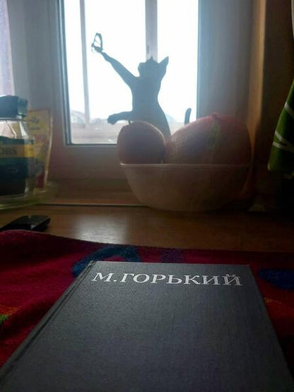 Фотография книги "Горький: Жизнь Клима Самгина"