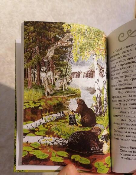 Фотография книги "Горляк: Обереги из пастушьей сумки"