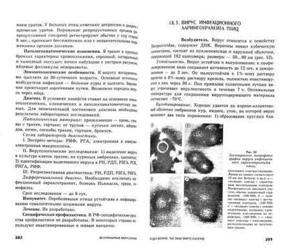 Фотография книги "Госманов, Колычев, Плешакова: Ветеринарная вирусология. Учебник для вузов"