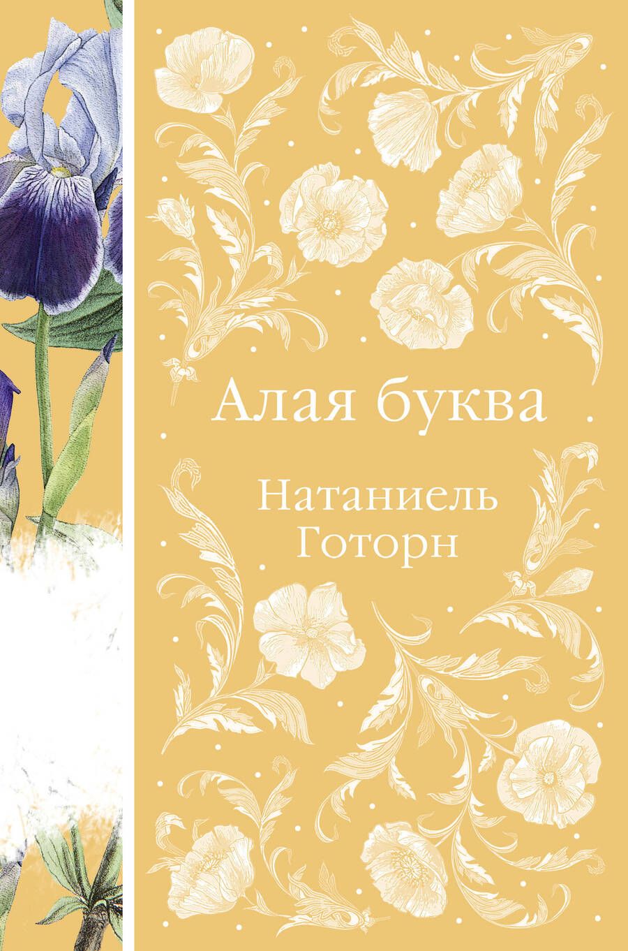 Обложка книги "Готорн: Алая буква"