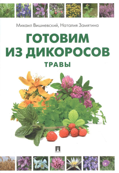 Обложка книги "Готовим из дикоросов. Травы "