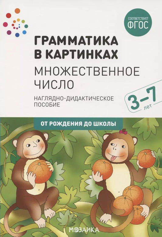 Обложка книги "Грамматика в картинках. Множественное число"