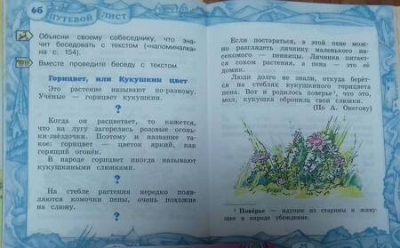 Фотография книги "Граник, Соболева: Путешествие в Страну Книги. Книга 2. Скорлупки и ядрышки. Учебное пособие по литературному чтению"