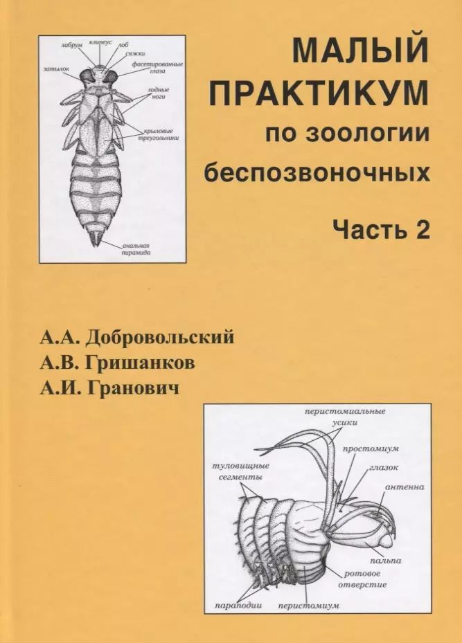 Обложка книги "Гранович, Гришанков, Добровольский: Малый практикум по зоологии беспозвоночных. Часть 2"