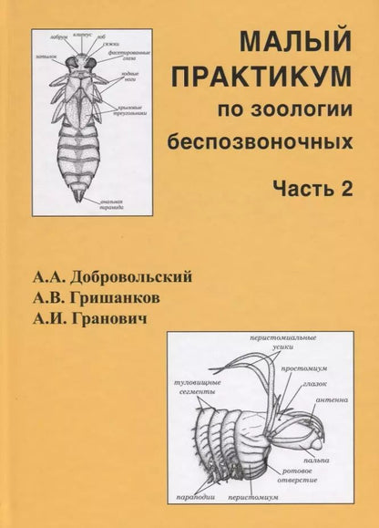 Обложка книги "Гранович, Гришанков, Добровольский: Малый практикум по зоологии беспозвоночных. Часть 2"