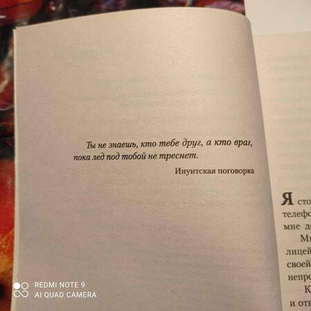 Фотография книги "Гребе: На льду"