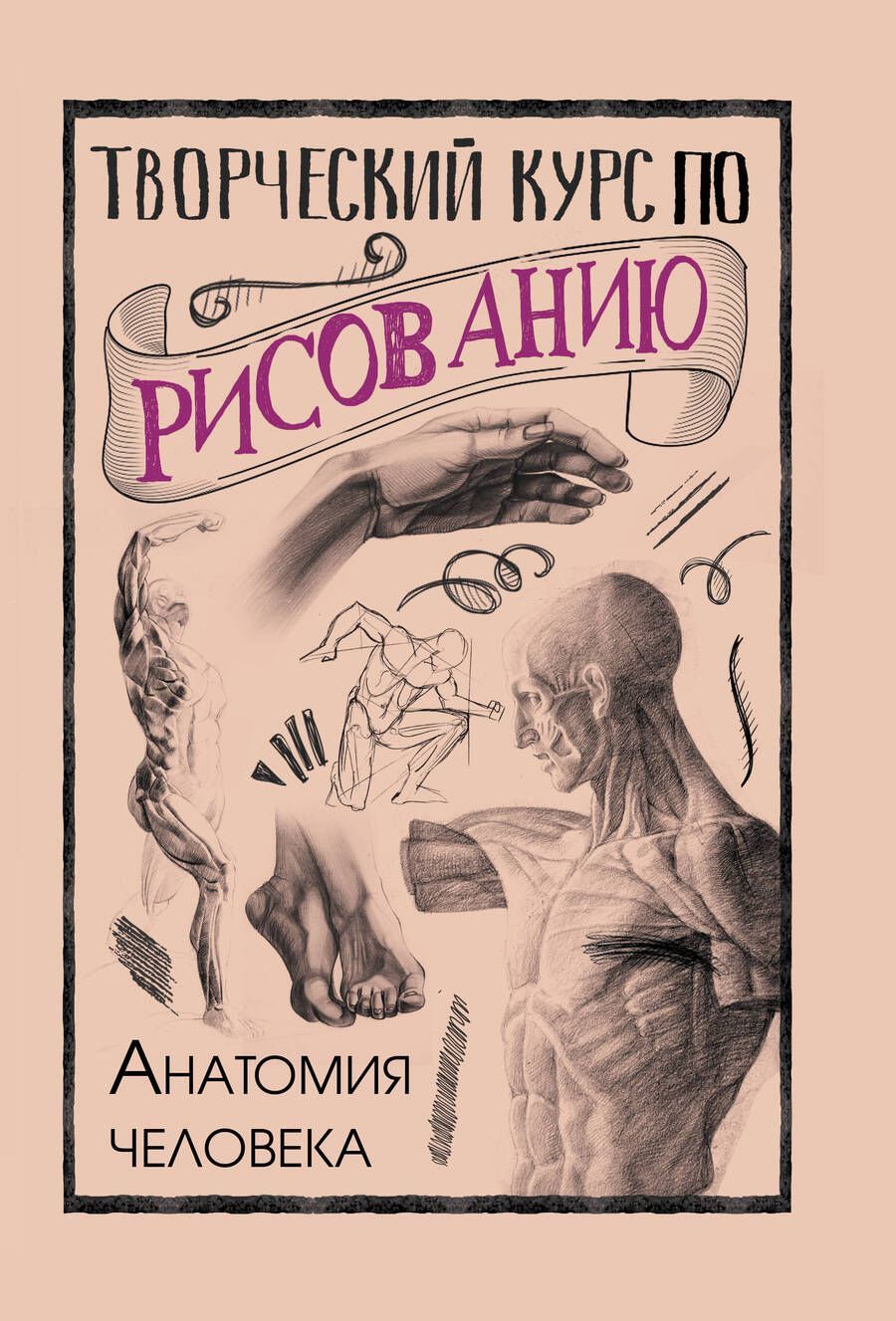 Обложка книги "Грей: Творческий курс по рисованию. Анатомия человека"