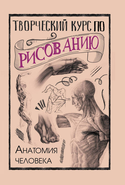 Обложка книги "Грей: Творческий курс по рисованию. Анатомия человека"