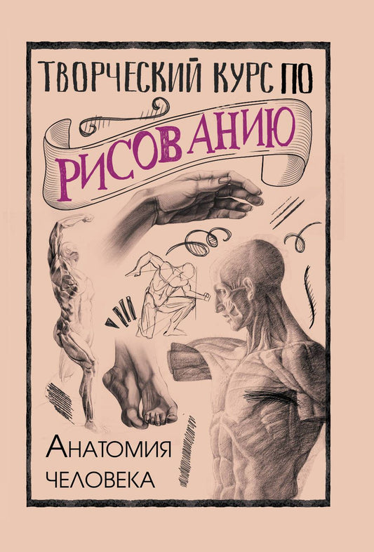Обложка книги "Грей: Творческий курс по рисованию. Анатомия человека"