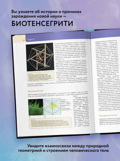 Фотография книги "Грэхам Скарр: Биотенсегрити. Как работают Анатомические поезда, остеопатия и кинезиология и что может сделать эти техники максимально эффективными"
