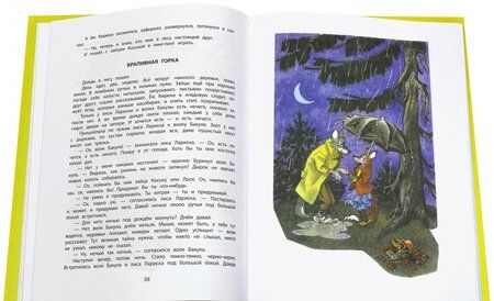 Фотография книги "Грибачев: Волшебные очки. Лесные истории, сказки, стихи"