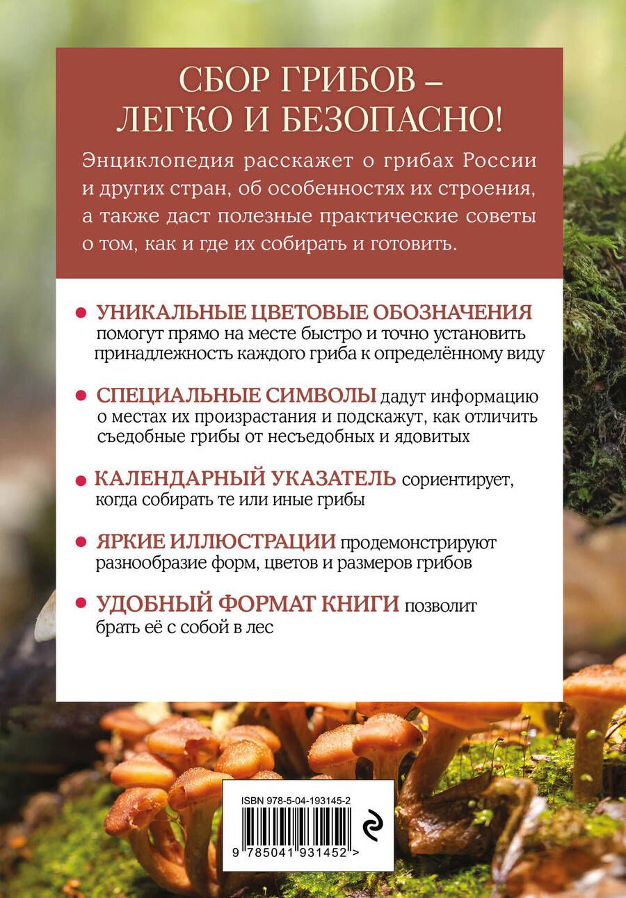 Обложка книги "Грибы. Краткий иллюстрированный справочник"