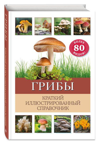 Фотография книги "Грибы. Краткий иллюстрированный справочник"
