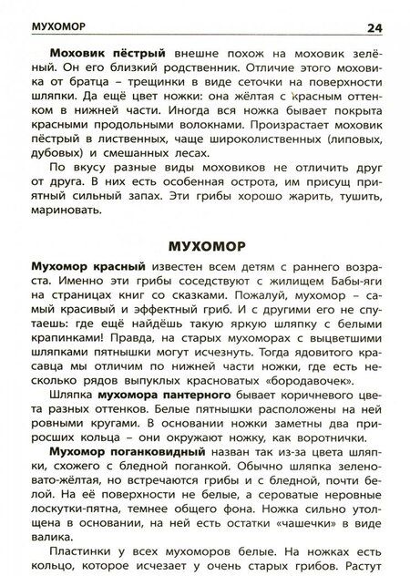 Фотография книги "Грибы. Съедобные и несъедобные. Начальная школа. ФГОС"
