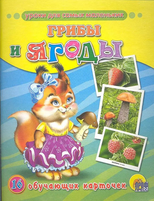 Обложка книги "Грибы и ягоды: 16 обучающих карточек"