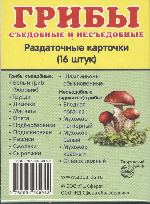 Обложка книги "Грибы съедобные и несъедобные. 16 раздаточных карточек с текстом"