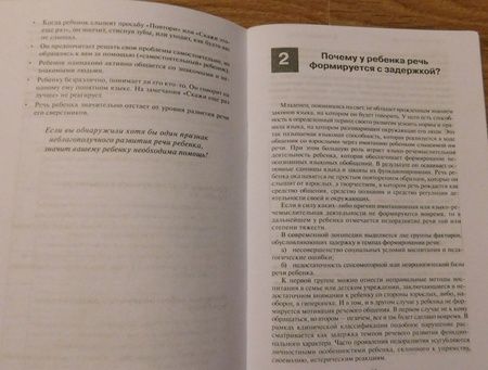 Фотография книги "Грибова: Что делать, если ваш ребенок не говорит. Книга для тех, кому это интересно"