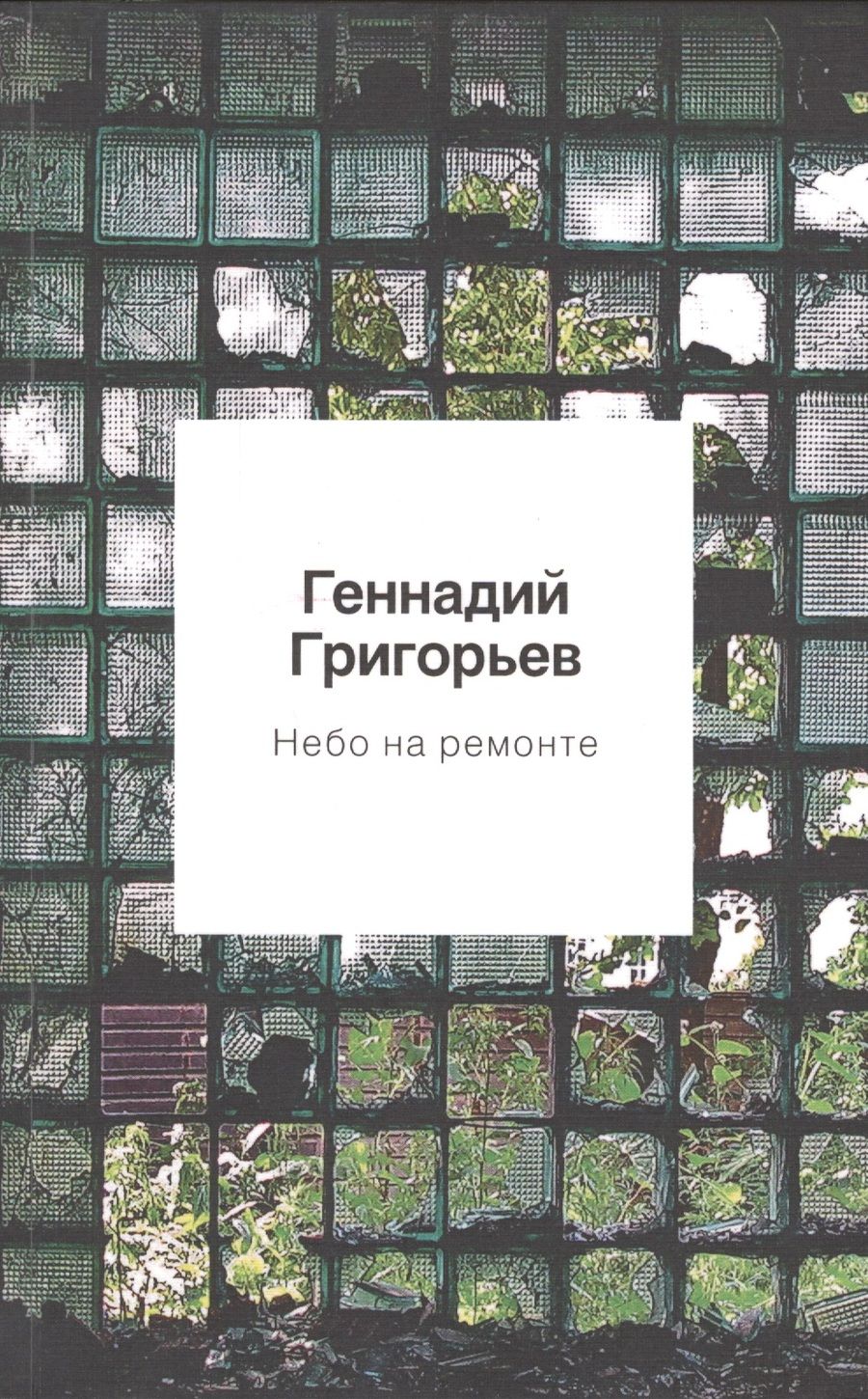 Обложка книги "Григорьев: Небо на ремонте. Стихотворения и поэмы"