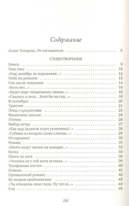 Фотография книги "Григорьев: Небо на ремонте. Стихотворения и поэмы"