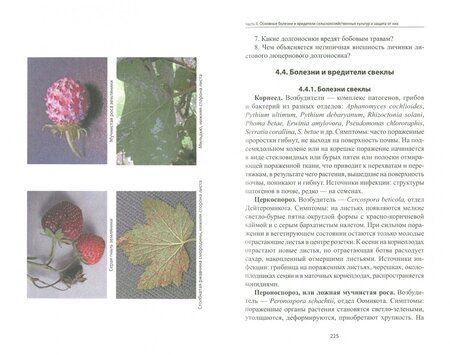 Фотография книги "Гриценко, Митюшев, Белошапкина: Защита растений. Фитопатология и энтомология. Учебник"