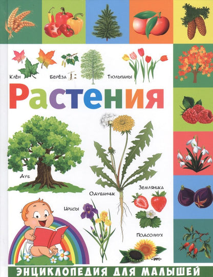 Обложка книги "Гриценко: Растения"
