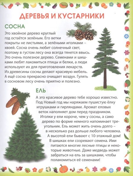 Фотография книги "Гриценко: Растения"