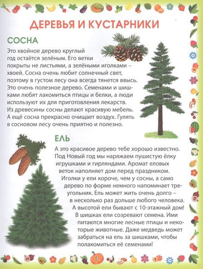 Фотография книги "Гриценко: Растения"