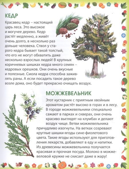 Фотография книги "Гриценко: Растения"