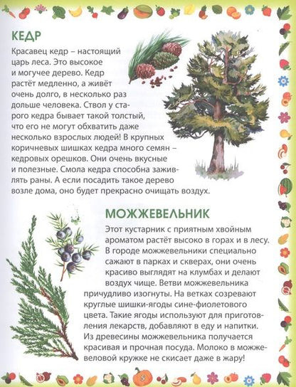 Фотография книги "Гриценко: Растения"