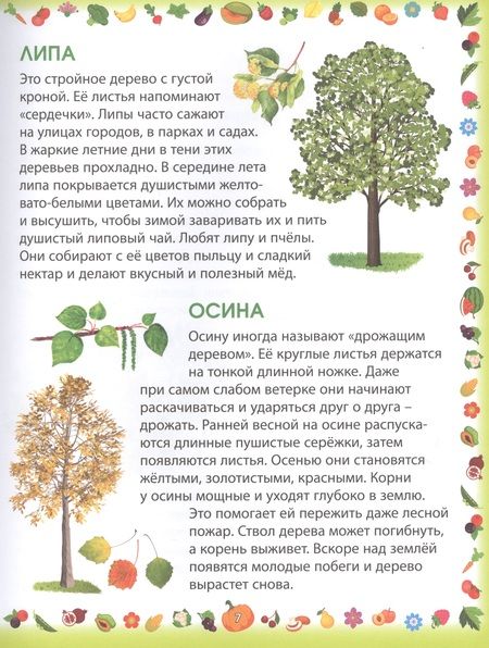 Фотография книги "Гриценко: Растения"