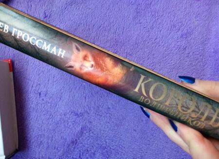 Фотография книги "Гроссман: Король волшебников"