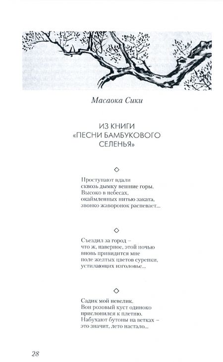 Фотография книги "Гроздья Глицинии: Поэзия танка, хайку и киндайси японского Серебряного века"