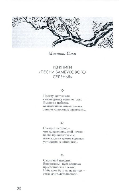 Фотография книги "Гроздья Глицинии: Поэзия танка, хайку и киндайси японского Серебряного века"