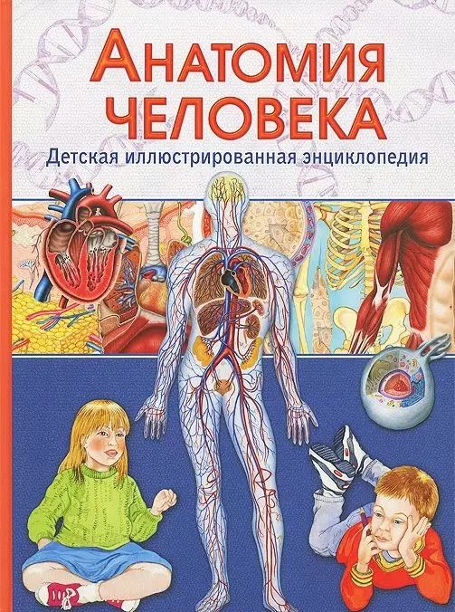 Обложка книги "Гуиди Винченцо: Анатомия человека. Детская иллюстрированная энциклопедия"