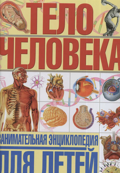 Обложка книги "Гуиди Винченцо: Тело человека. Занимательная энциклопедия для детей"