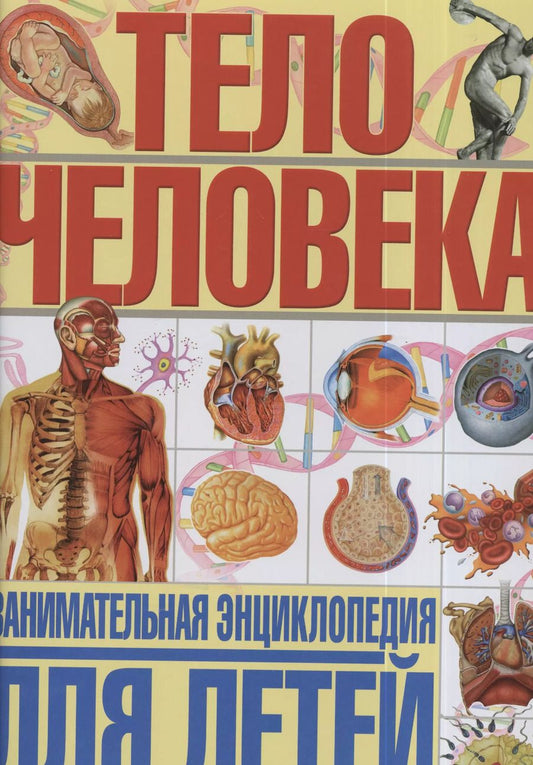 Обложка книги "Гуиди Винченцо: Тело человека. Занимательная энциклопедия для детей"