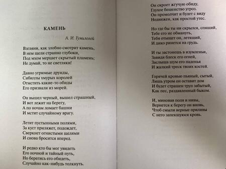 Фотография книги "Гумилев: Мы меняем души, не тела..."