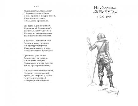 Фотография книги "Гумилев: Сады моей души…"
