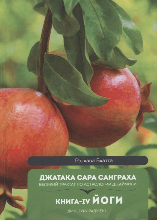Обложка книги "Гуру: Джатака Сара Санграха: Великий трактат по астрологии Джаймини. Книга-IV. Йоги"
