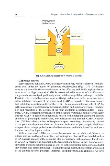 Фотография книги "Gusev, Konovalov, Skvortsova: Neurology and neurosurgery. In 2 Volumes. Volume 1. Neurology"