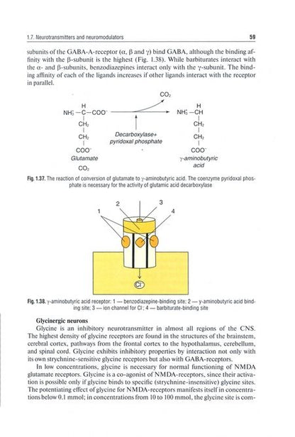 Фотография книги "Gusev, Konovalov, Skvortsova: Neurology and neurosurgery. In 2 Volumes. Volume 1. Neurology"