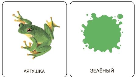 Фотография книги "Гусева, Гринева: Цвета. Первые карточки"