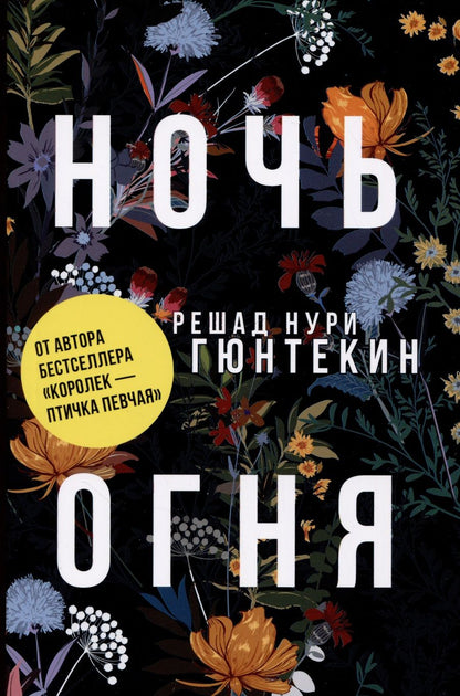 Обложка книги "Гюнтекин: Ночь огня"