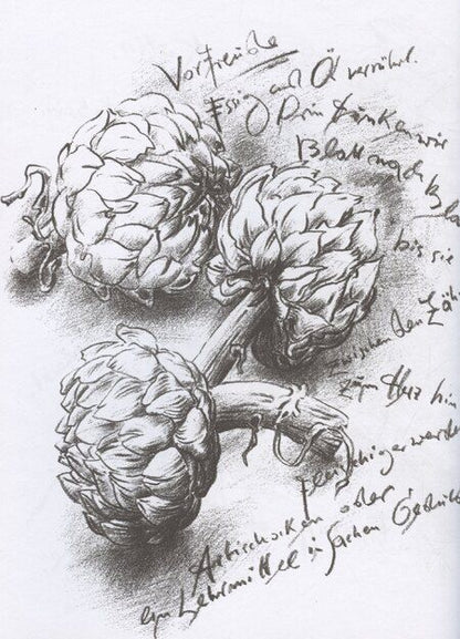 Фотография книги "Гюнтер Грасс: Глупый август"