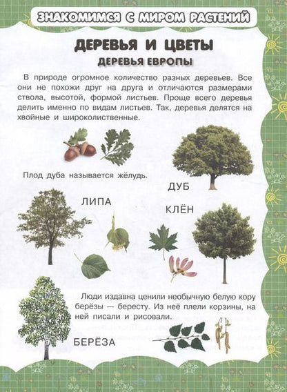 Фотография книги "И. Резько: Деревья и цветы"