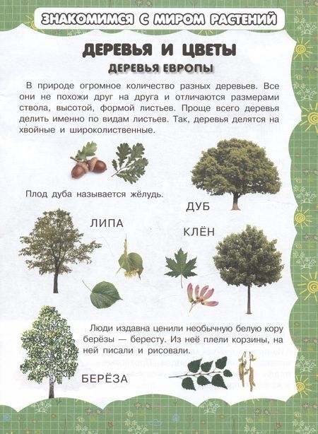 Фотография книги "И. Резько: Деревья и цветы"
