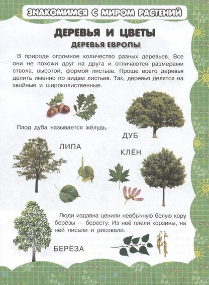 Фотография книги "И. Резько: Деревья и цветы"