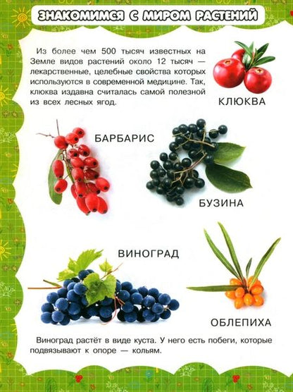 Фотография книги "И. Резько: В саду и огороде"